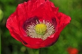 23 06 15_5265_edited-1